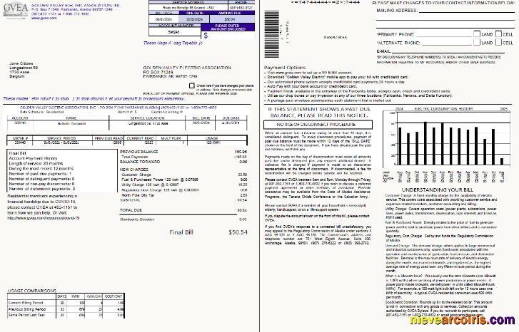 Belgium Golden Valley Electric Association utility bill, 2 pages